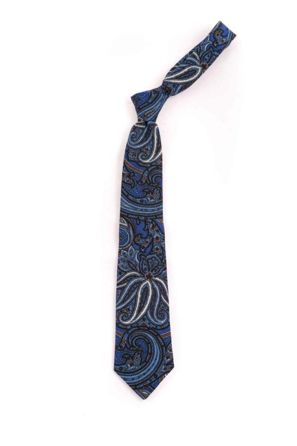 Blue and Brown Paisley Tie